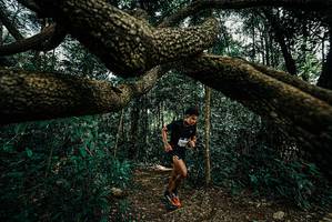 BIB: 
                            <button type="button" onclick="openModal(25708319)" class="btn btn-primary btn-sm float-right btn-popup" data-toggle="modal" data-target=".modal-high-quality">
                        <i class="fas fa-shopping-cart"></i> Add to Cart
                    </button>
                                            <button type="button" onclick="isThisMe(25708319, true)" class="btn btn-success btn-sm float-right btn-popup btn-isme hidden" data-toggle="tooltip" data-placement="bottom" title="นี่คือรูปของคุณใช่ไหม คลิกที่นี่เพื่อเอาเข้าอัลบั้ม">
                        <i class="fas fa-plus"></i> Add to album
                    </button>
                    <button type="button" onclick="isThisMe(25708319, false)" class="btn btn-warning btn-sm float-right btn-popup btn-isnotme hidden">
                        <i class="fas fa-ban"></i> Remove from album
                    </button>